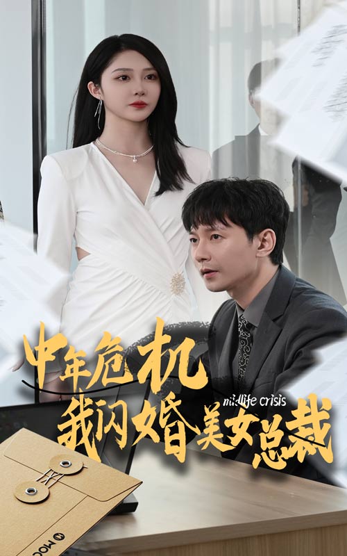中年危机我闪婚美女总裁(2024)海报