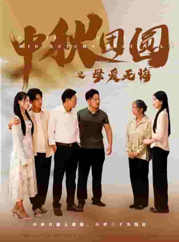中秋团圆之母爱无悔(2024)海报