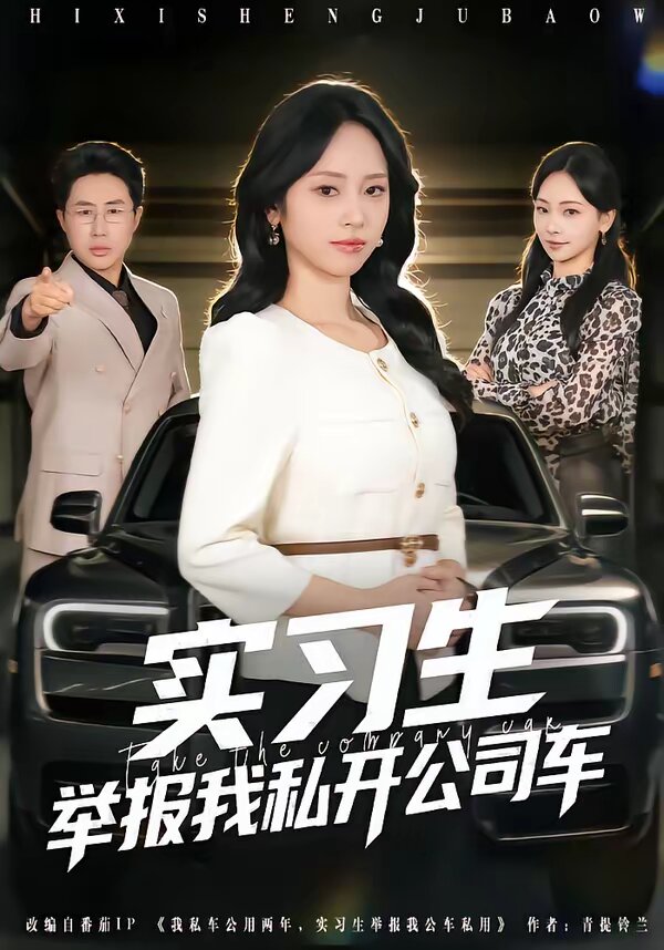 实习生举报我私开公司车(2026)海报
