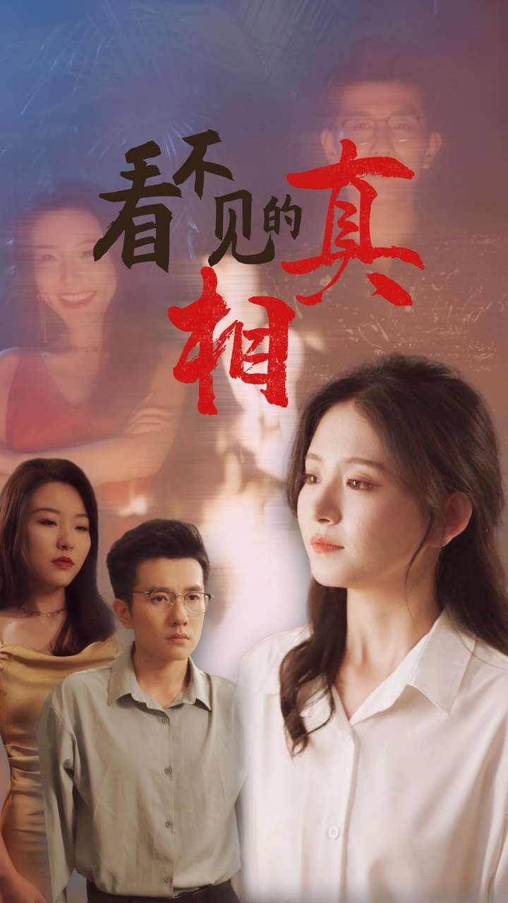 看不见的真相(2024)海报