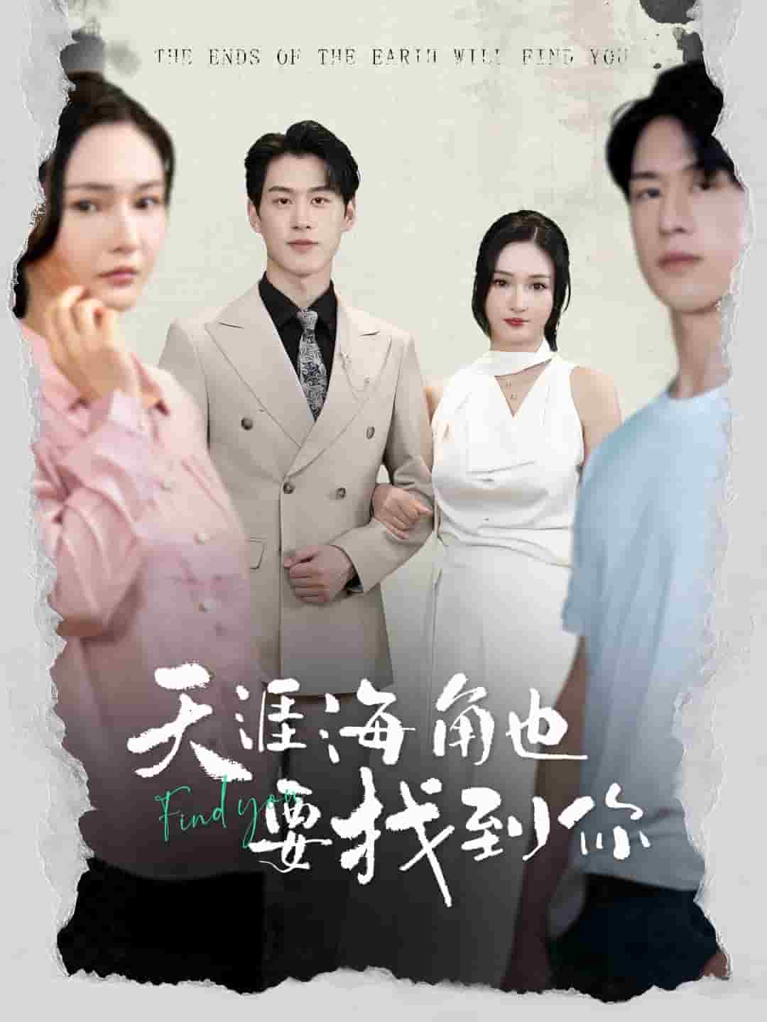 天涯海角也要找到你(2024)海報