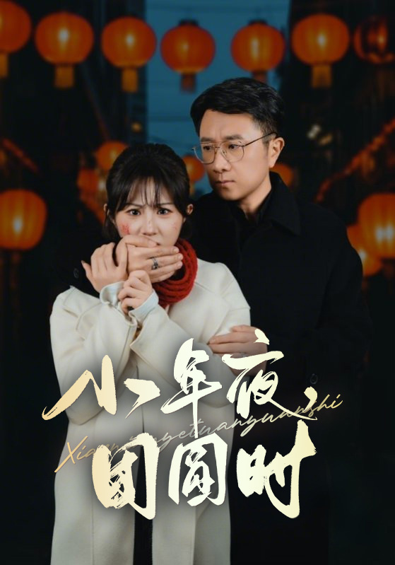 小年夜万家灯火没有我(2025)海报