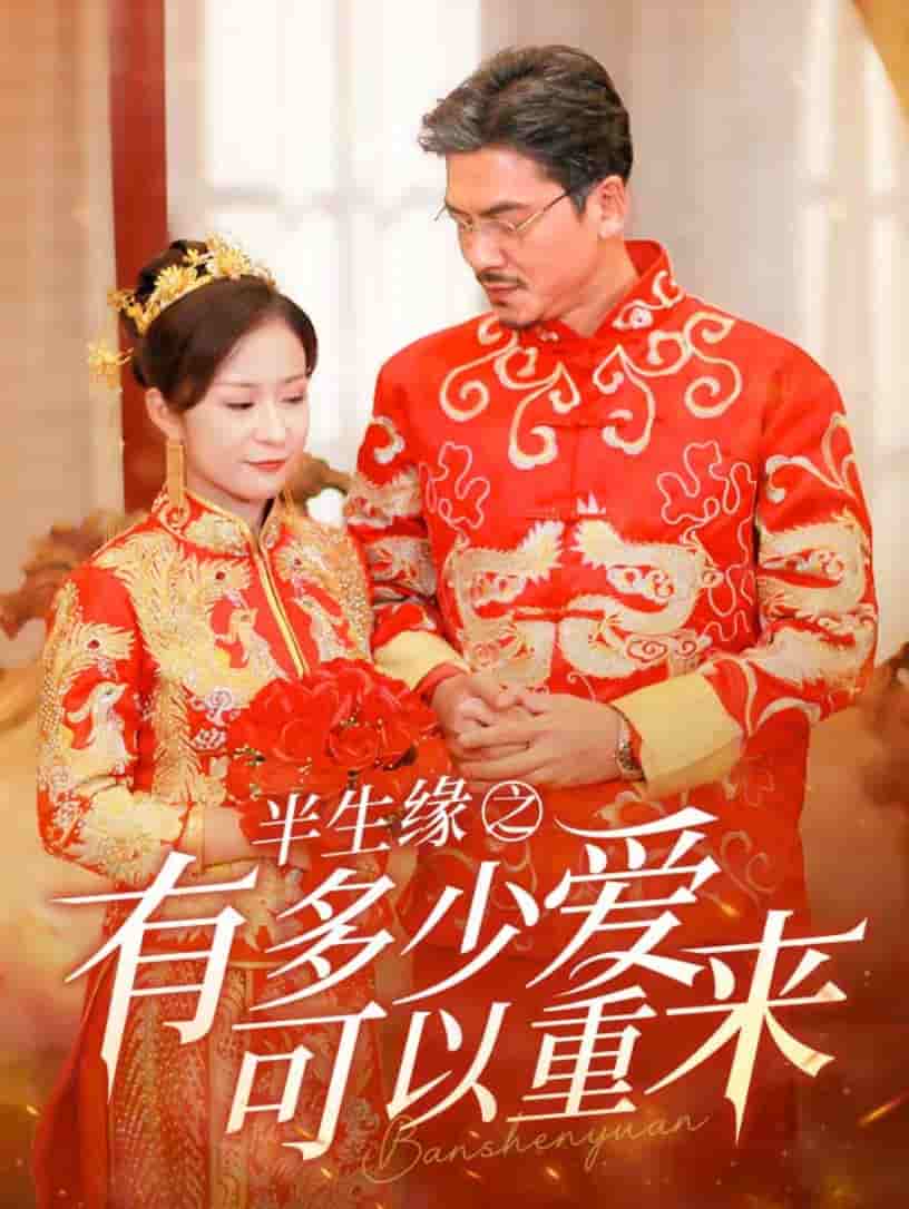 半生缘之有多少爱可以重来(2024)海报