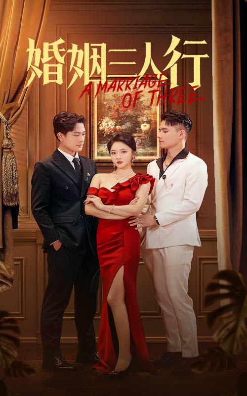 婚姻三人行(2024)海报