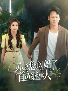 苏总您闪婚了首富继承人(2024)海报