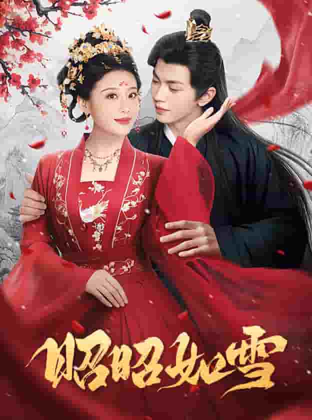 昭昭如雪(2024)海報