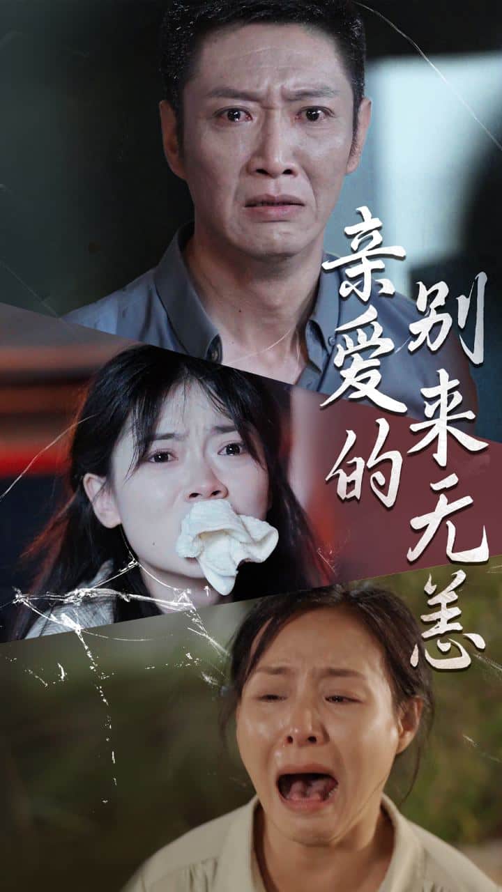 亲爱的别来无恙(2024)海报