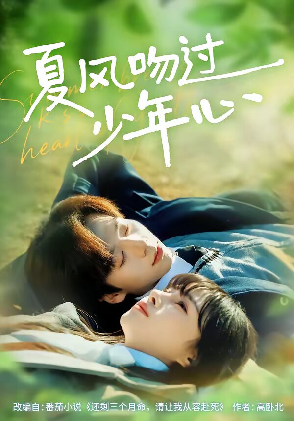 夏风吻过少年心(2026)海报