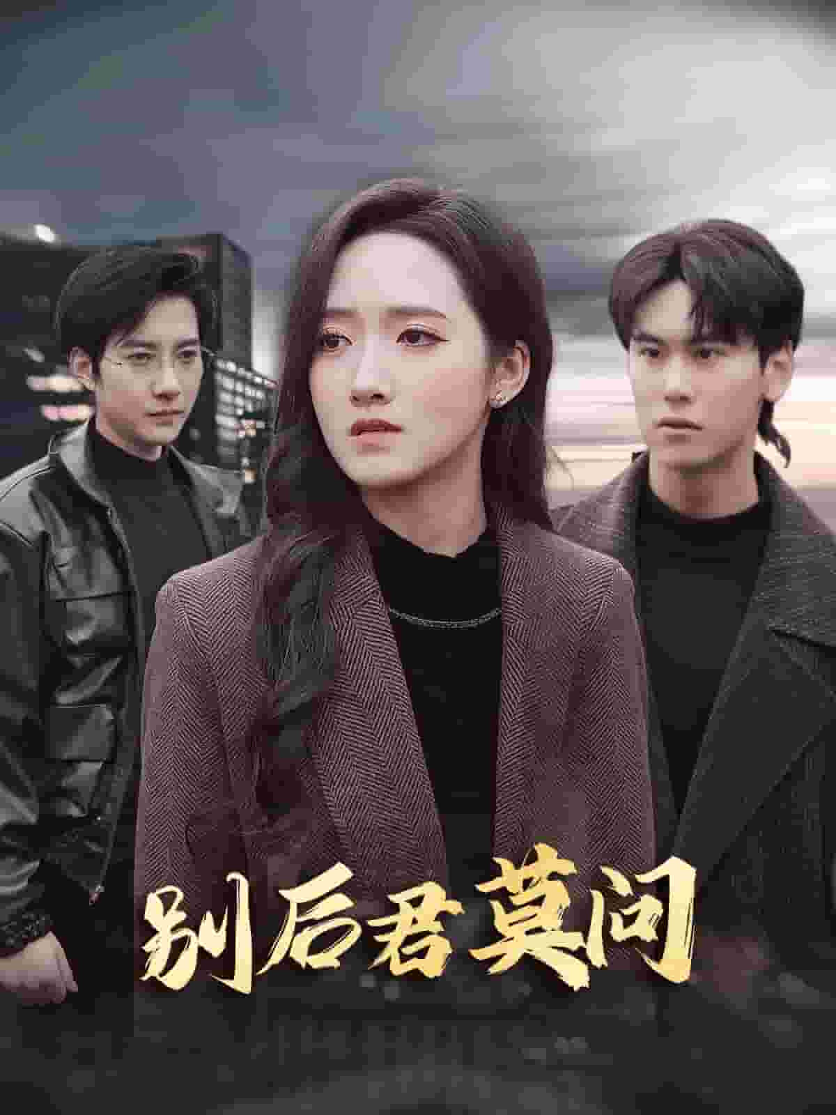 別後悠悠君莫問(2025)海報