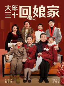 大年三十回娘家(2025)海报