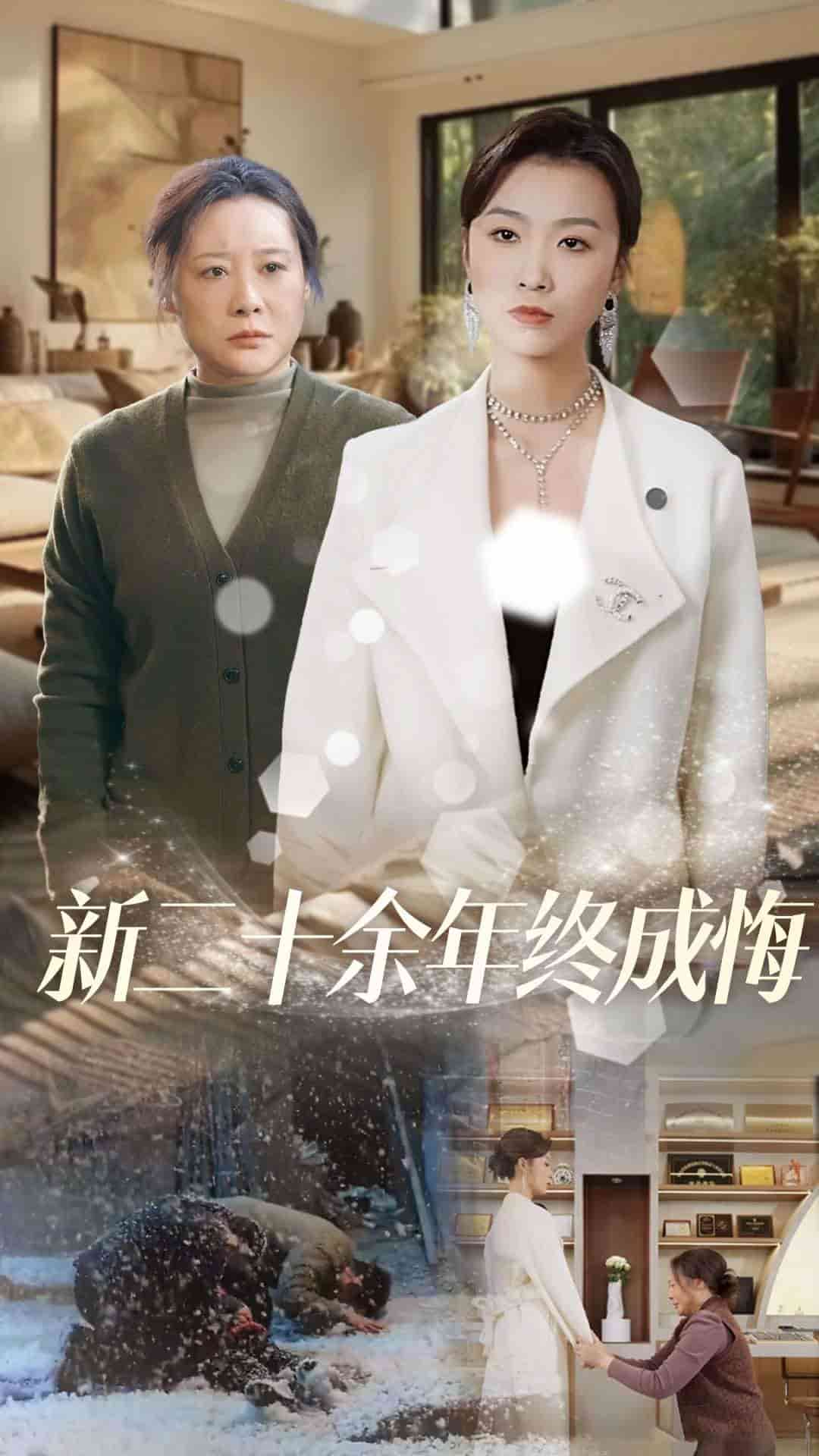新二十餘年終成悔(2025)海報