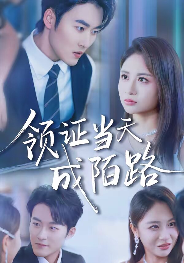 领证当天成陌路(2026)海报