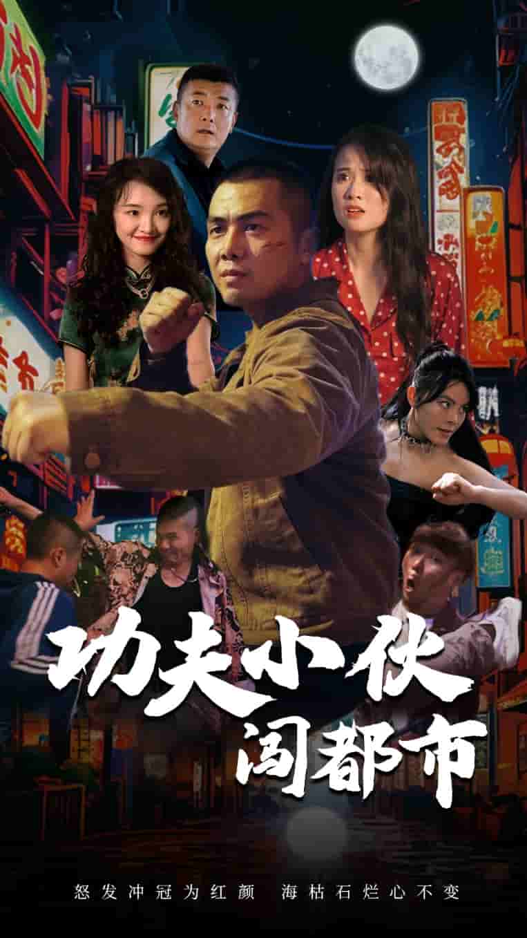 功夫小夥闖都市(2024)海報