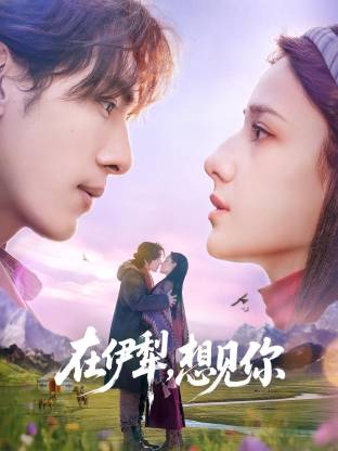 在伊犁,想见你(2026)海报