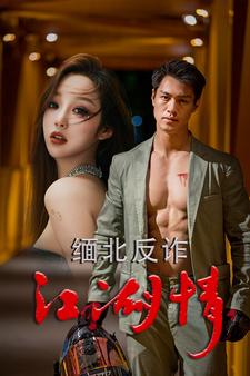 缅北反诈江湖情(2024)海报