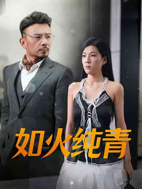 如火純青(2024)海報