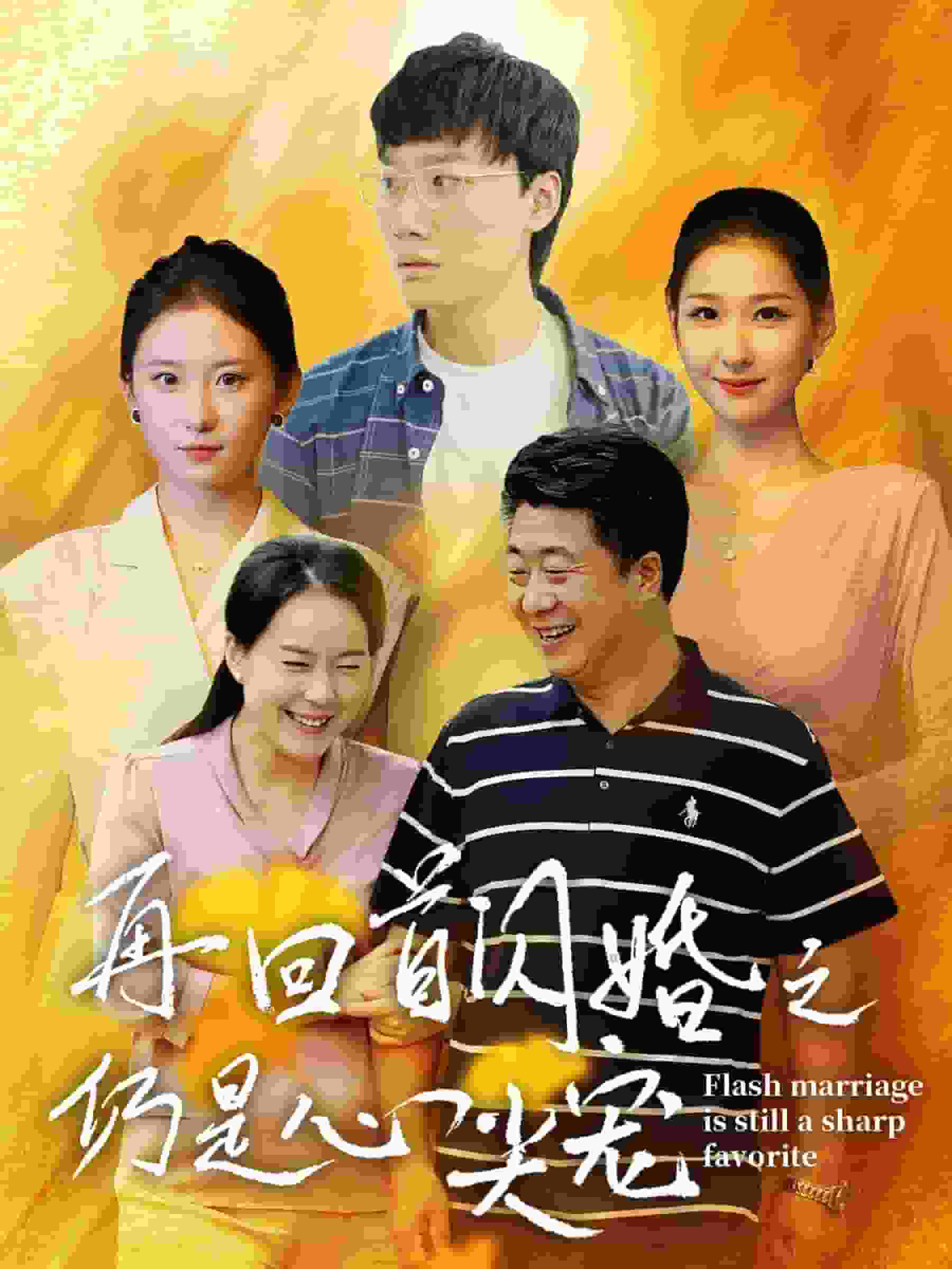 再回首閃婚之仍是心尖寵(2024)海報