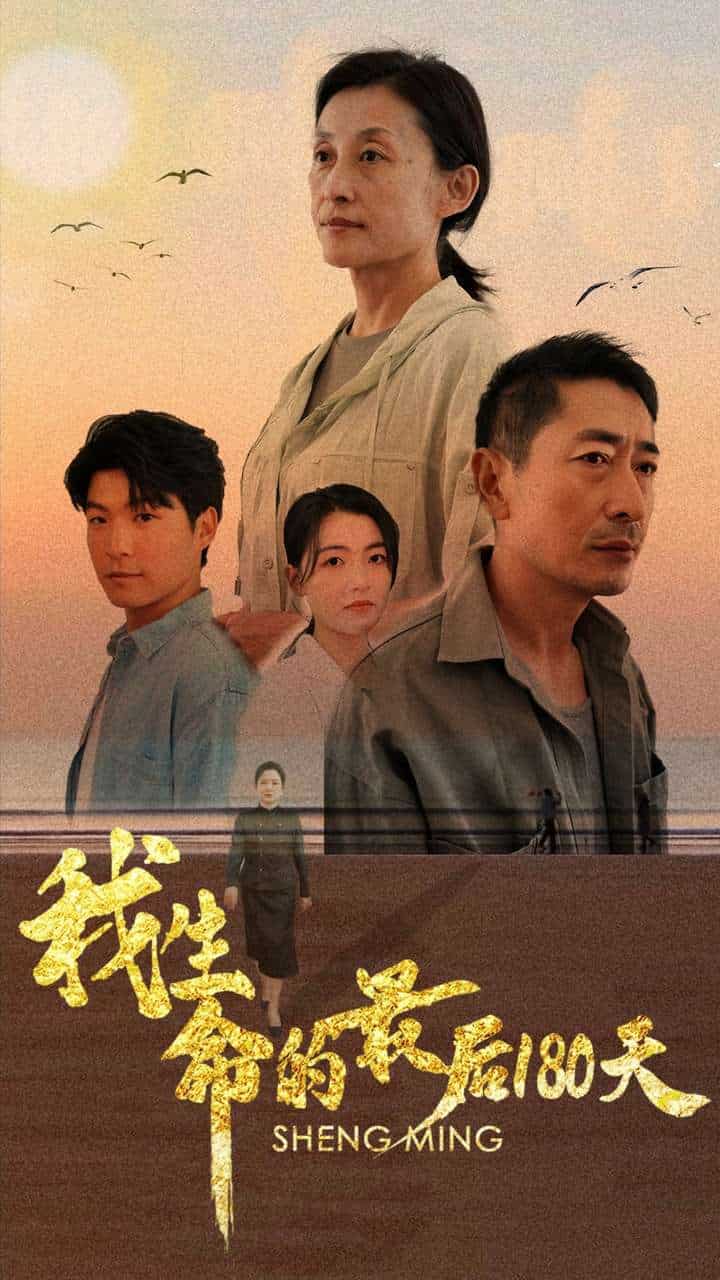 我生命的最后180天(2024)海报