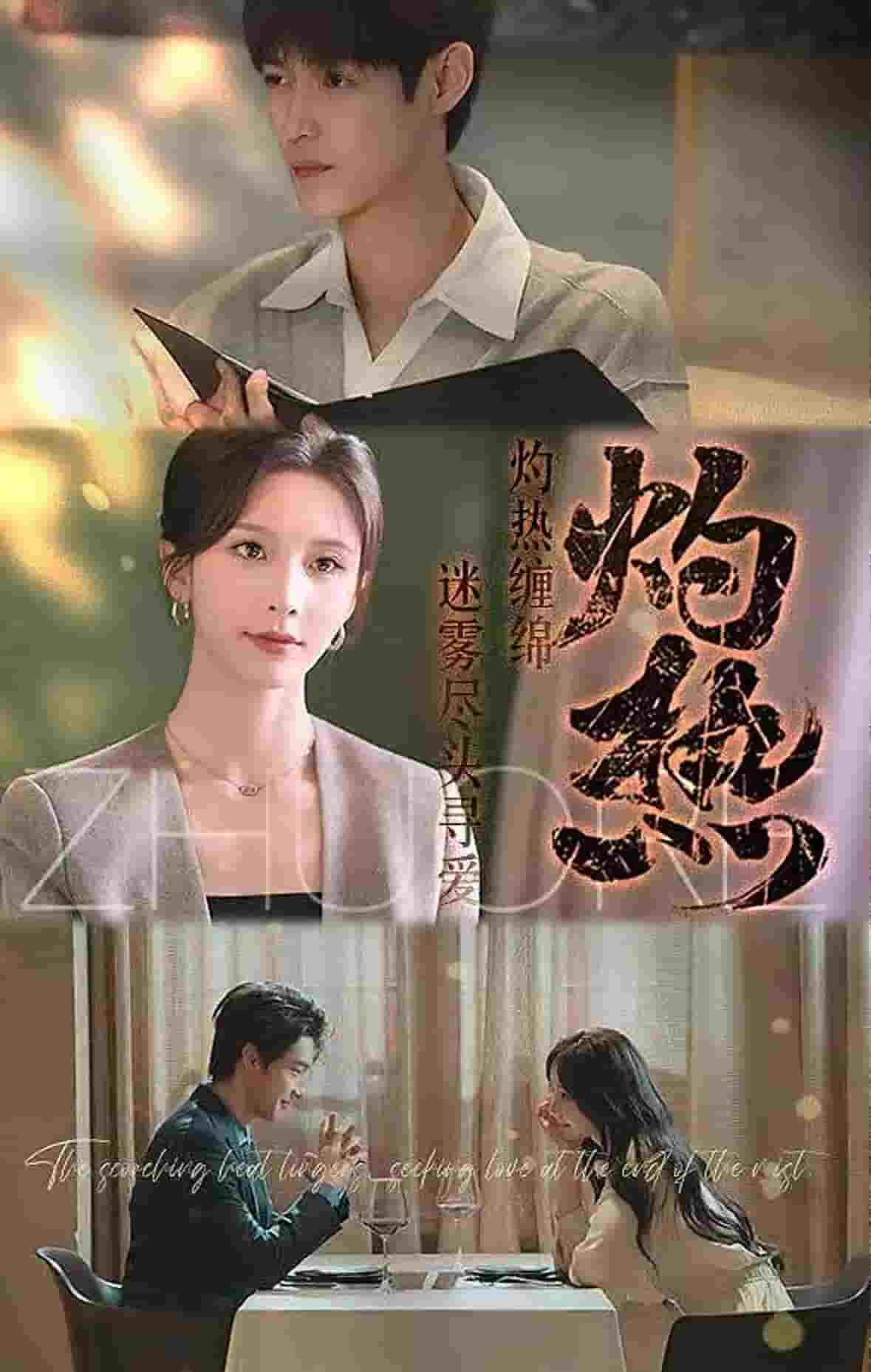灼热(短剧版)(2025)海报