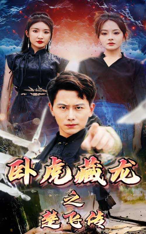 卧虎藏龙之楚飞传(2024)海报