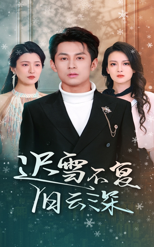 迟雪不复旧云深(2025)海报