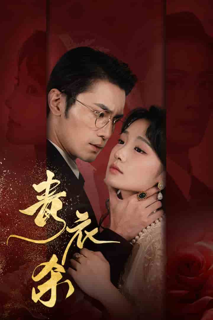 青衣杀(2024)海报