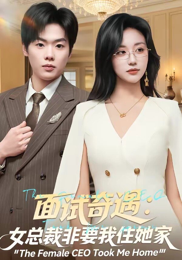 面试奇遇:女总裁非要我住她家(2026)海报