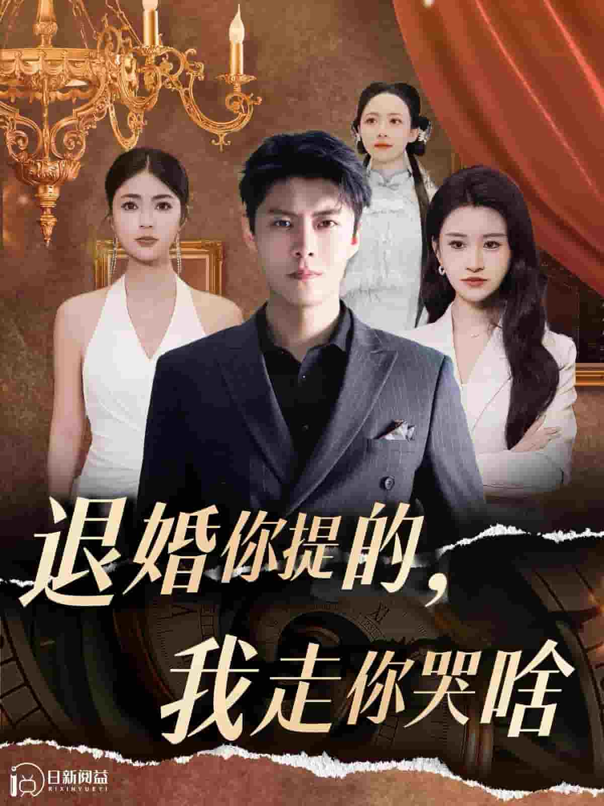 退婚你提的我走你哭啥(2024)海報