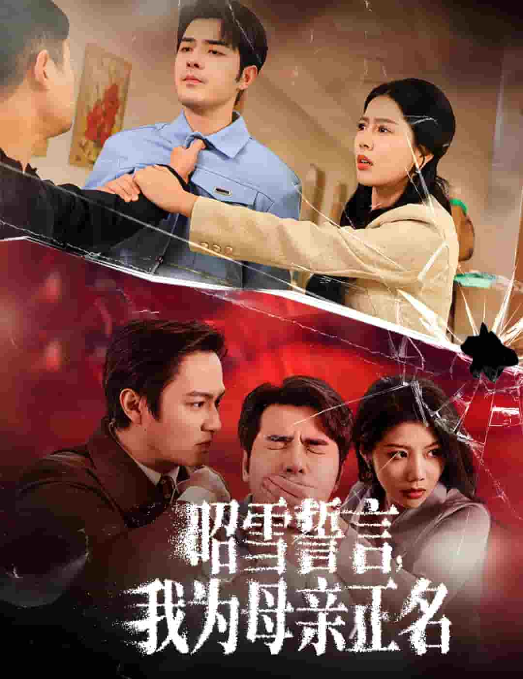 昭雪誓言我為母親正名(2025)海報