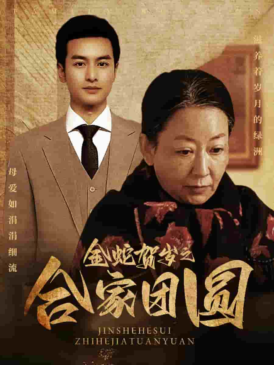 金蛇贺岁之合家团圆(2025)海报