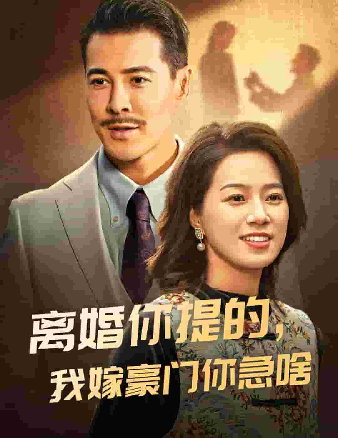 離婚你提的,我嫁豪門你急啥(2024)海報