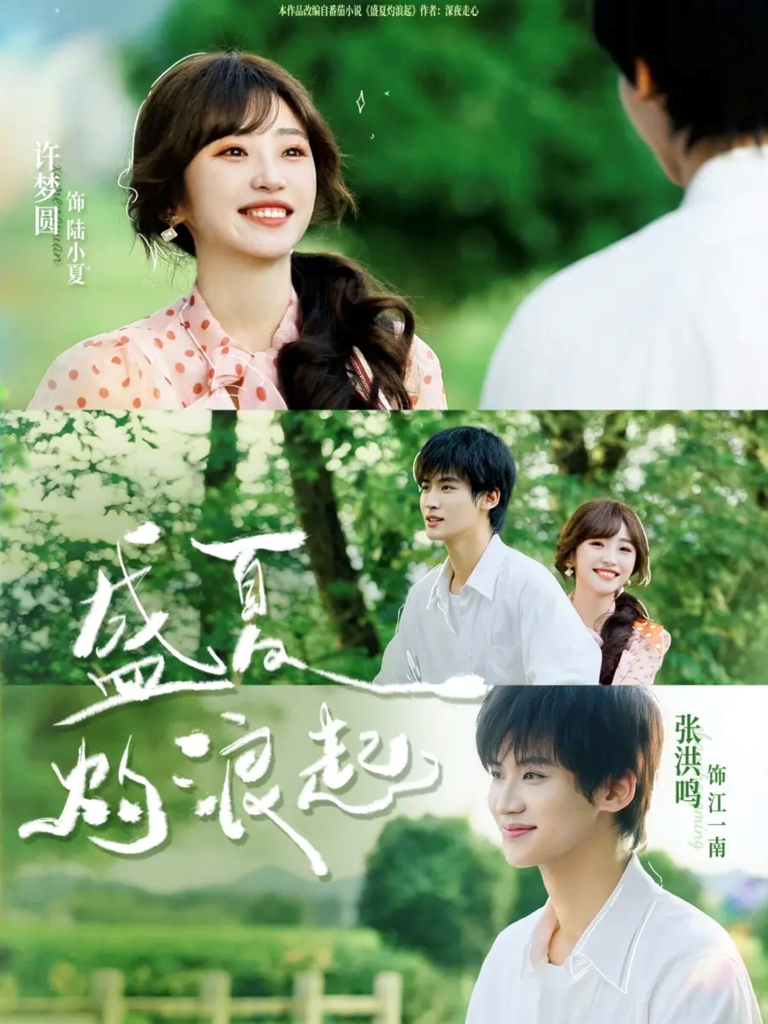 盛夏灼浪起(2026)海報
