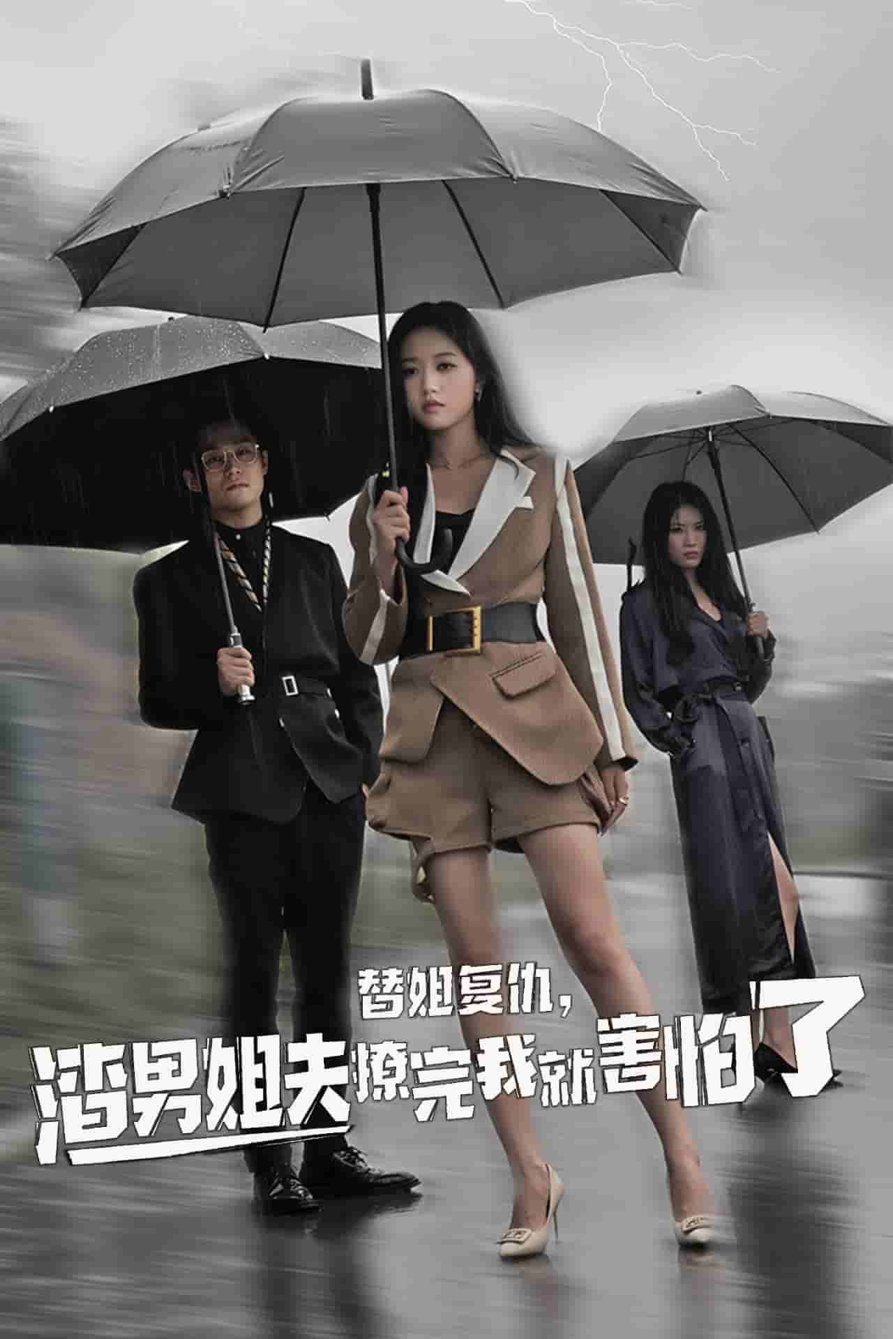 替姐复仇,渣男姐夫撩完我就害怕了(2025)海报
