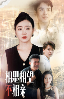 相思相望不相亲(2024)海报