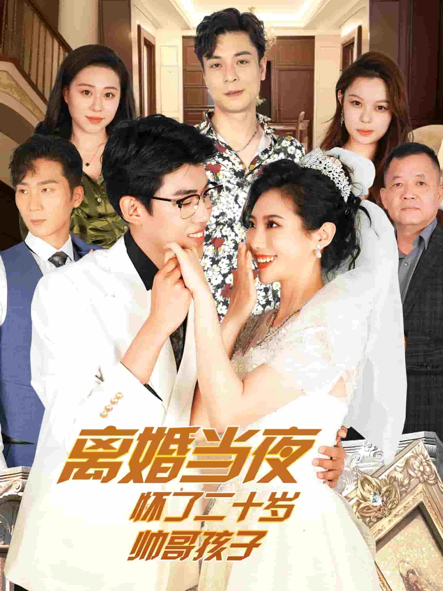 离婚当夜怀了二十岁帅哥(2024)海报