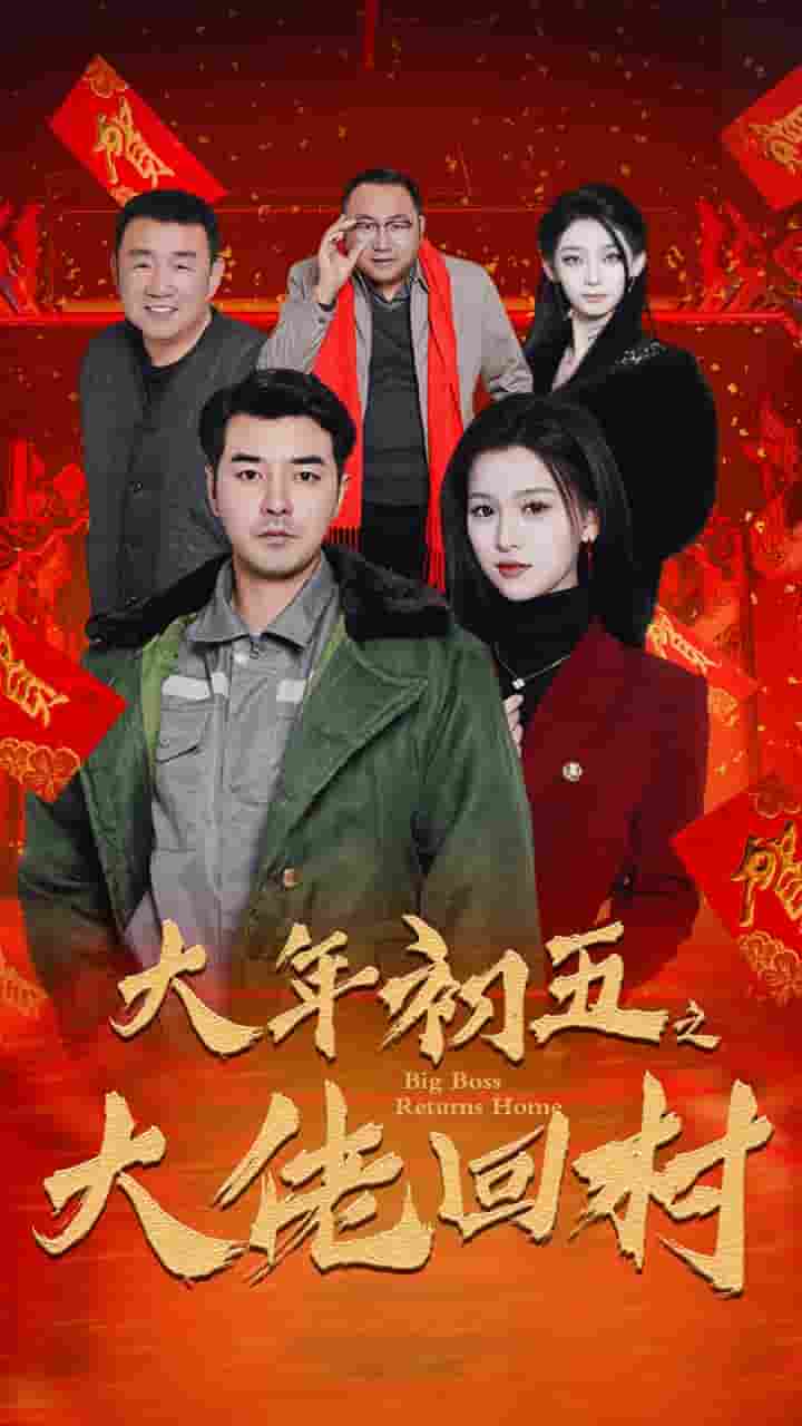蛇年大吉之大佬回村(2025)海报