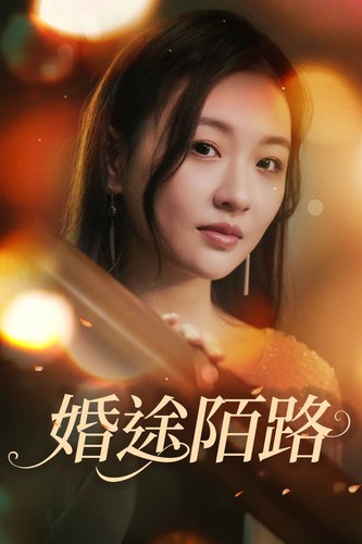 婚途陌路(2024)海报