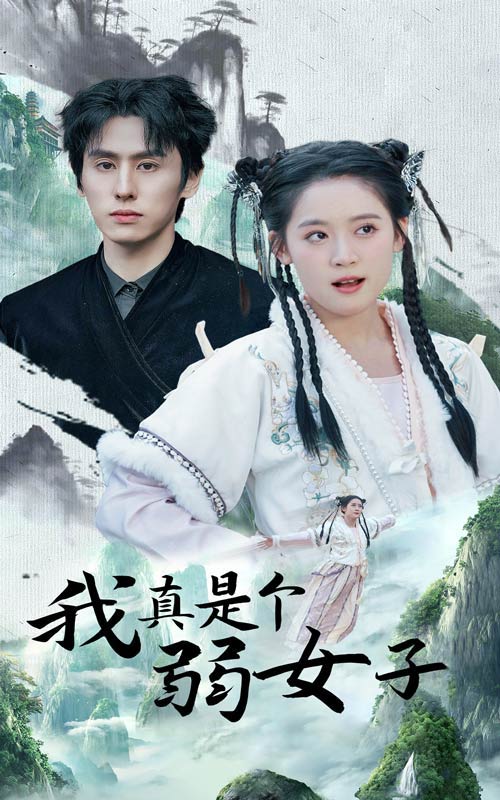 我真是个弱女子(2025)海报