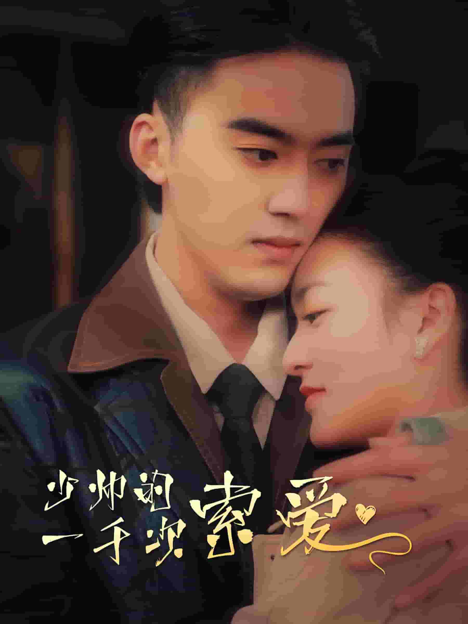 少帅的一千次索爱(2024)海报