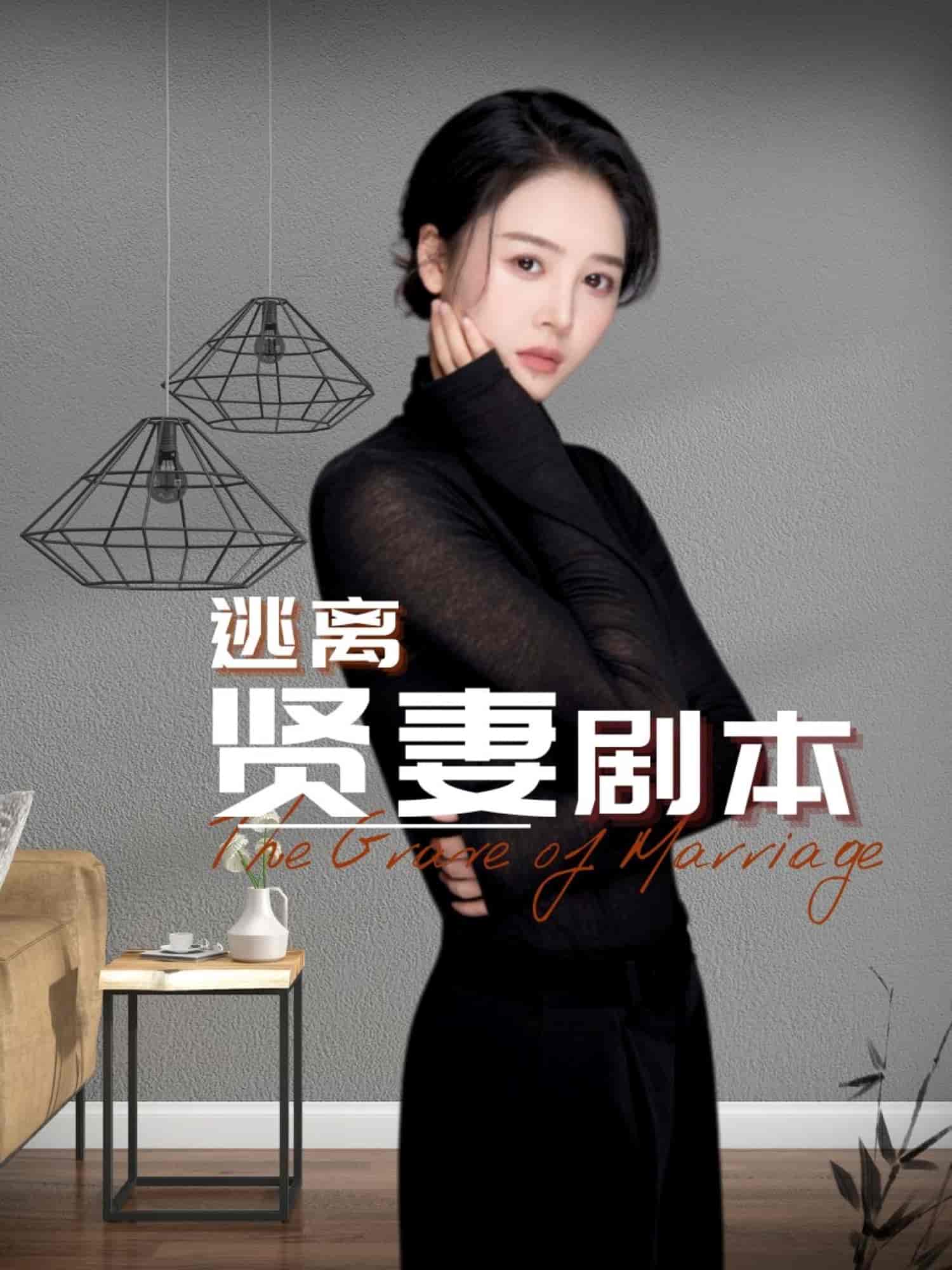 逃离贤妻剧本(2025)海报
