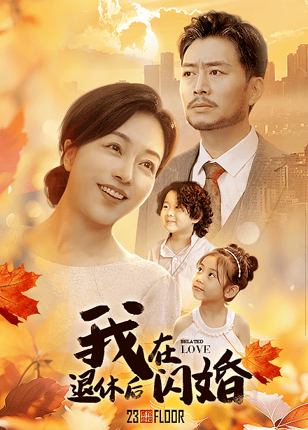 我在退休后闪婚(2024)海报