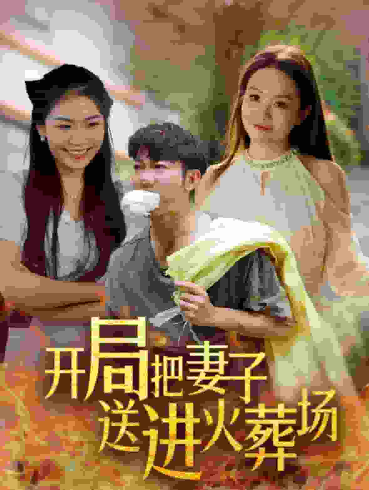 開局把妻子送進火葬場(2024)海報