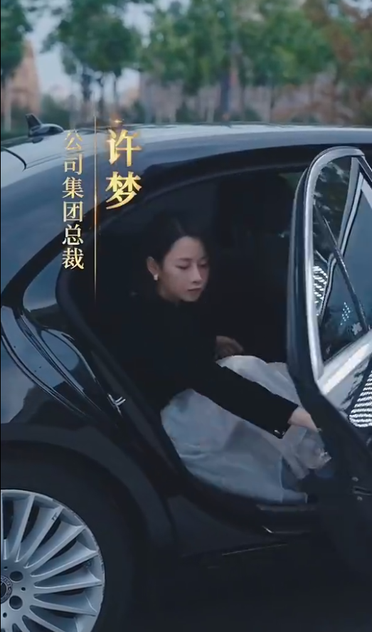 女老板的复仇(2024)海报