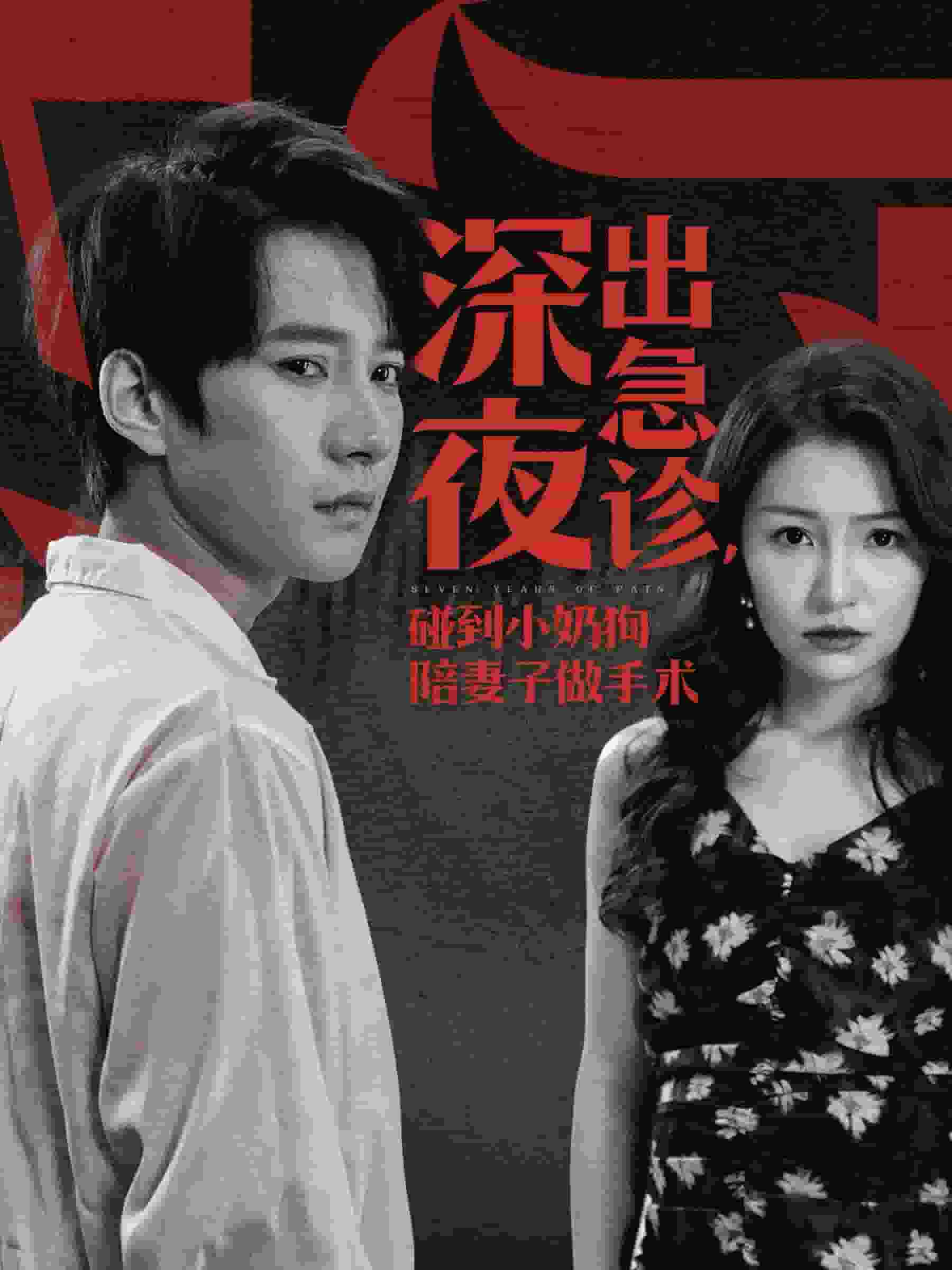 深夜出急诊碰到小奶狗陪妻子做手术(2024)海报