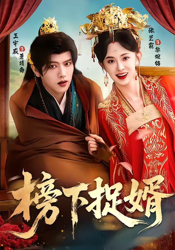 榜下捉婿(2026)海报