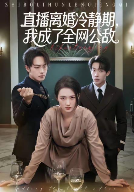 直播离婚冷静期,我成了全网公敌(2026)海报