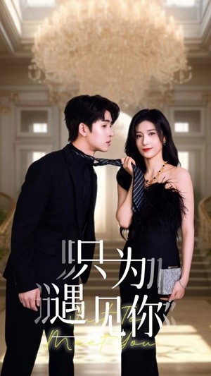 只为遇见你短剧(2024)海报