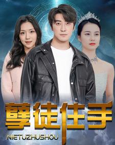 孽徒住手(2024)海报