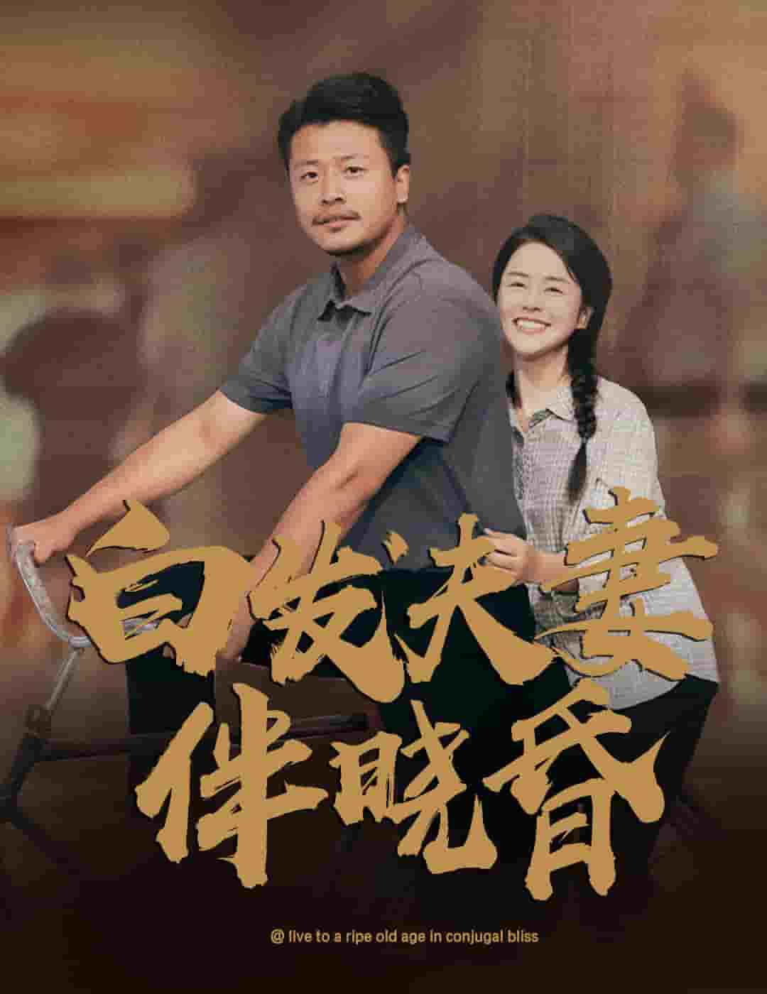 白髮夫妻傍曉昏(2024)海報