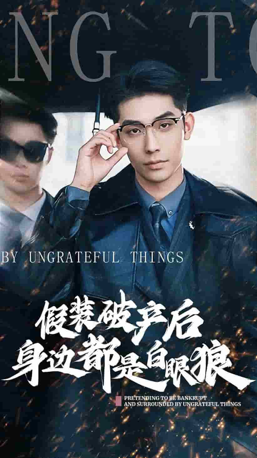 假装破产后发现身边都是白眼狼(2024)海报